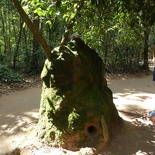 cu-chi-tunnels-vietnam-027