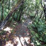 yang-ming-shan-qixing-020