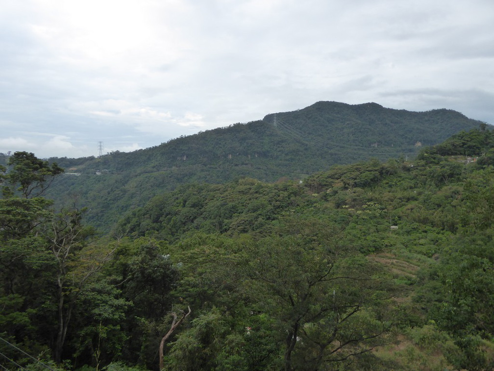 taipei-maokung-hill-gondola-tea-26