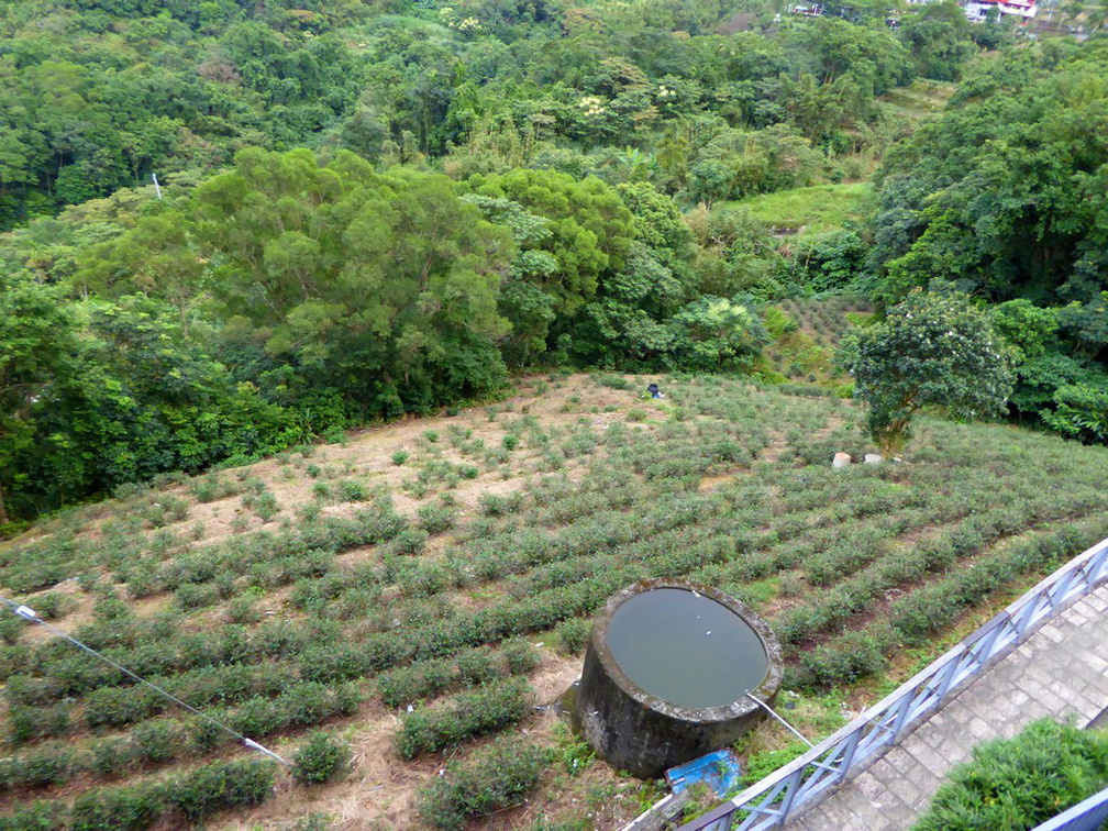 taipei-maokung-hill-gondola-tea-28