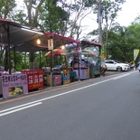 taipei-maokung-hill-gondola-tea-37