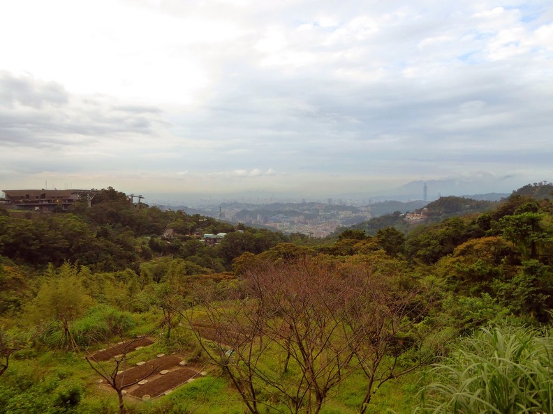 taipei-maokung-hill-gondola-tea-48.jpg