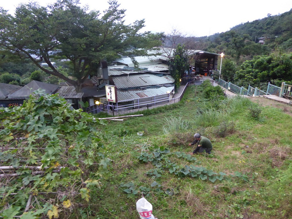 taipei-maokung-hill-gondola-tea-61