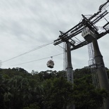 taipei-maokung-hill-gondola-tea-92