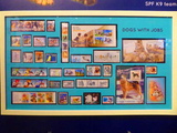all-about-dogs-philatelic-museum-04