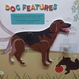 all-about-dogs-philatelic-museum-08