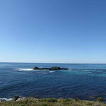 perth-rottnest-Island-29