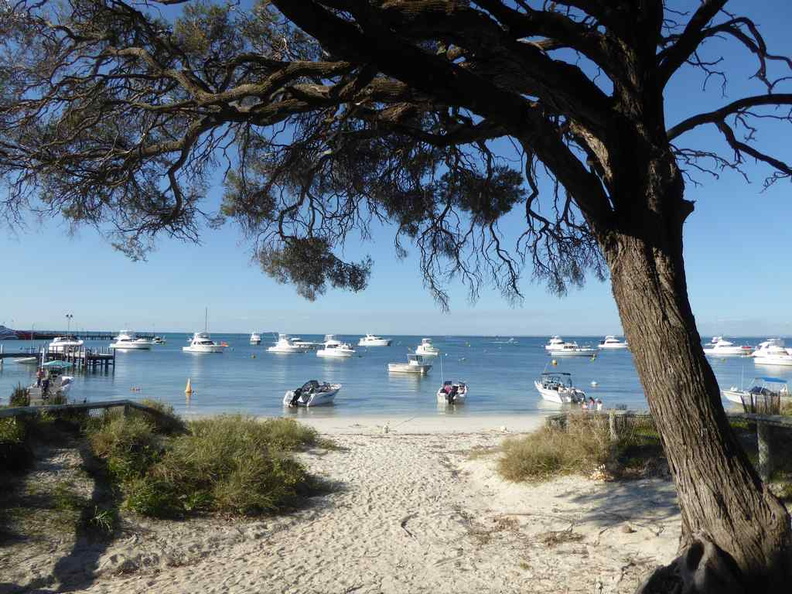 perth-rottnest-Island-32