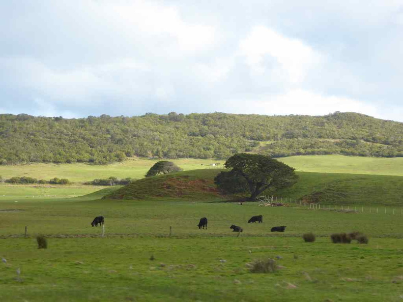 great-ocean-road-australia-26