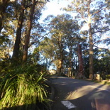 mt-dandenong-skyhigh-sunset-02