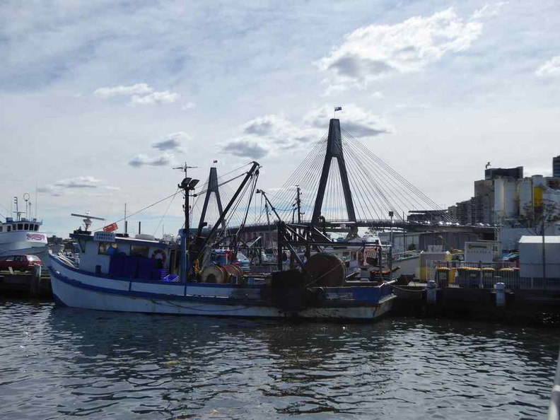 sydney-fish-market-25