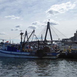 sydney-fish-market-25