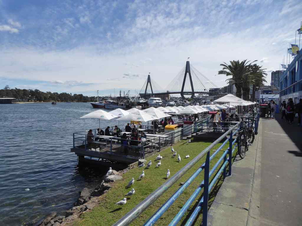 sydney-fish-market-06