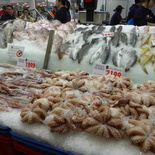 sydney-fish-market-08