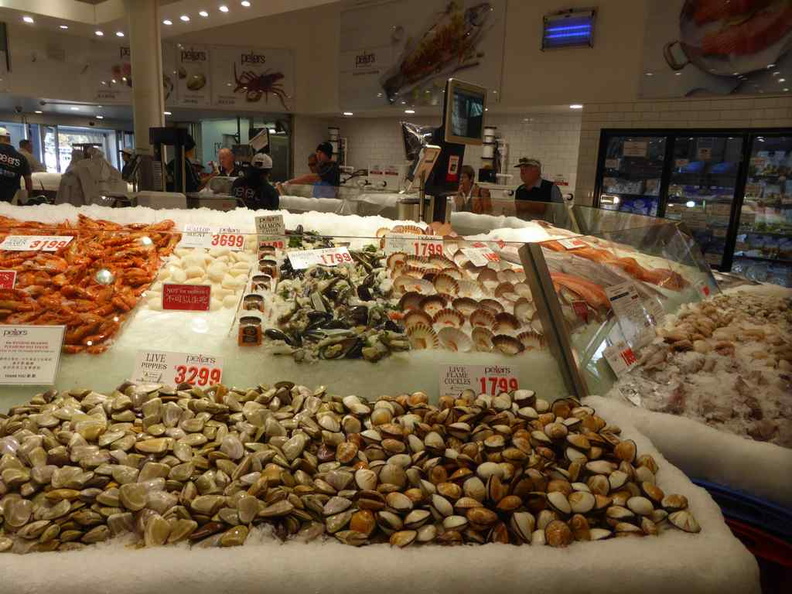 sydney-fish-market-11