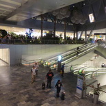 changi-airport-jewel-073