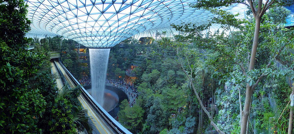 jewel-rootop-canopy-pano