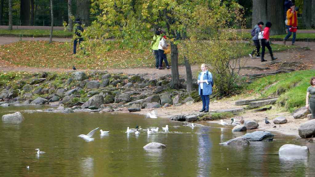 peterhof-grand-palace-011