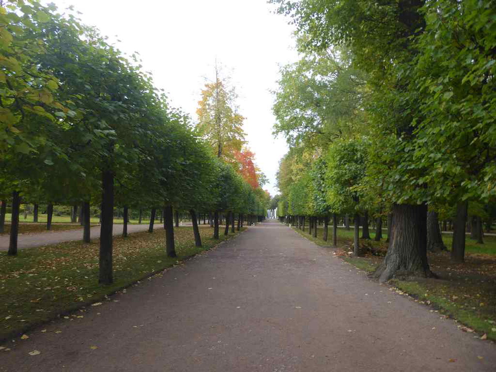 peterhof-grand-palace-055