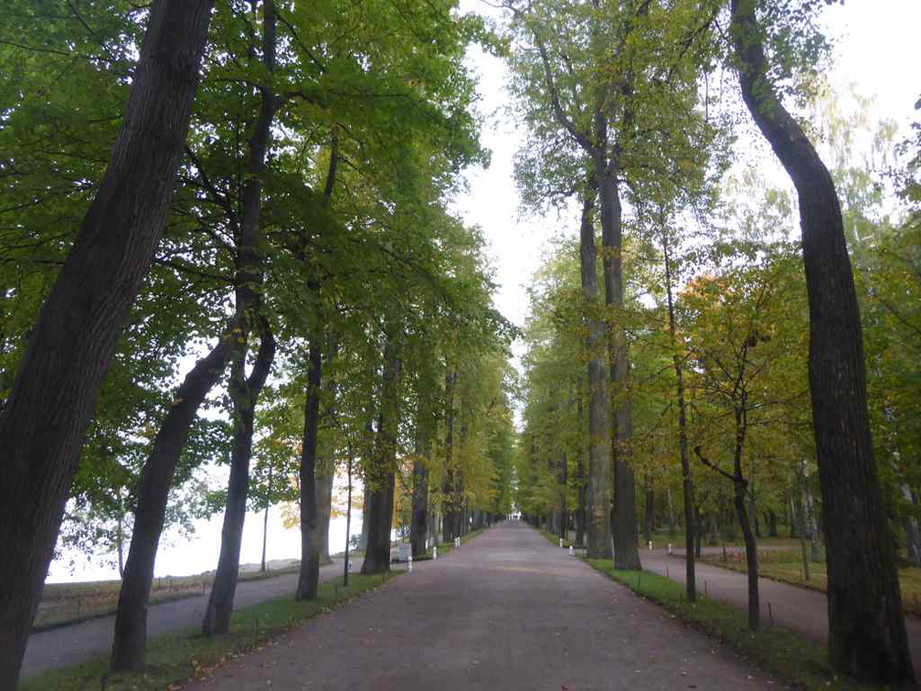 peterhof-grand-palace-064