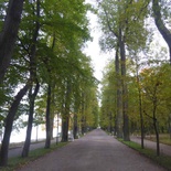 peterhof-grand-palace-064