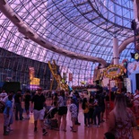 circus-circus-adventuredome-031