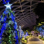 changi-jewel-sparkling-xmas-36