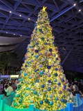 changi-jewel-sparkling-xmas-05