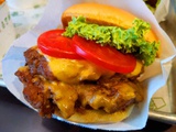 shake-shack-20-01