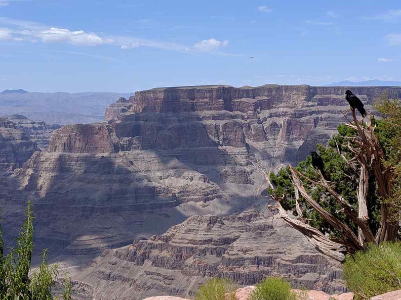 grand-canyon-west-usa-22