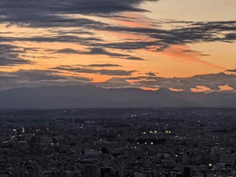 tokyo-shinjiku-godzilla-008.jpg