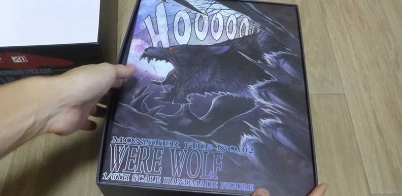 werewolf-coomodel-box.jpg