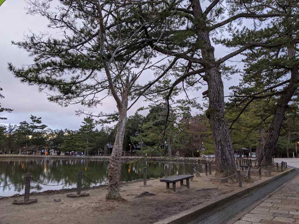 nara-deer-japan-027