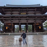 nara-deer-japan-028