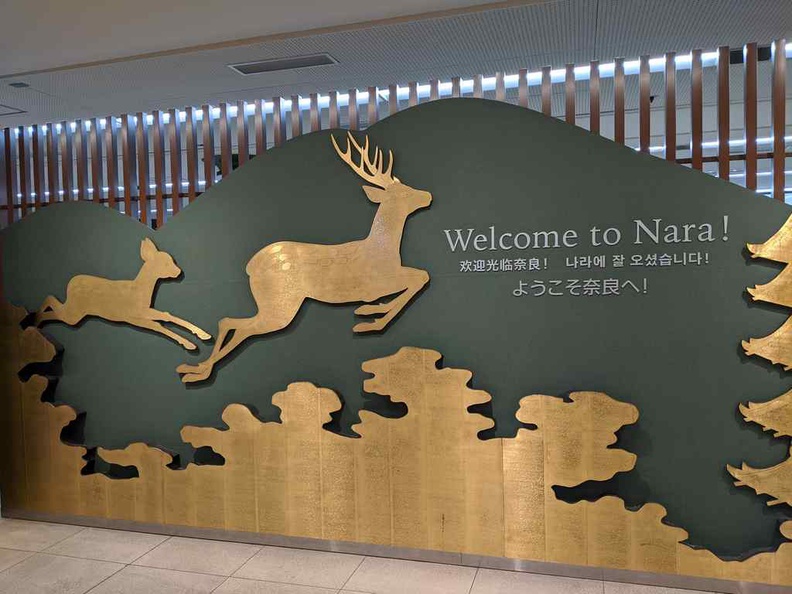 nara-deer-japan-031.jpg
