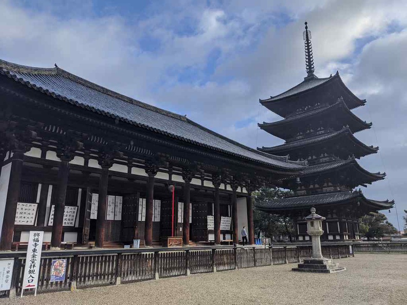 nara-deer-japan-005