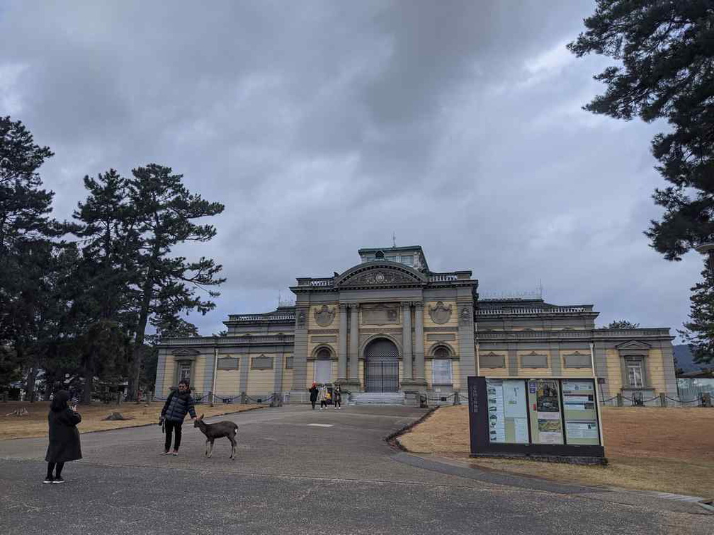 nara-deer-japan-009