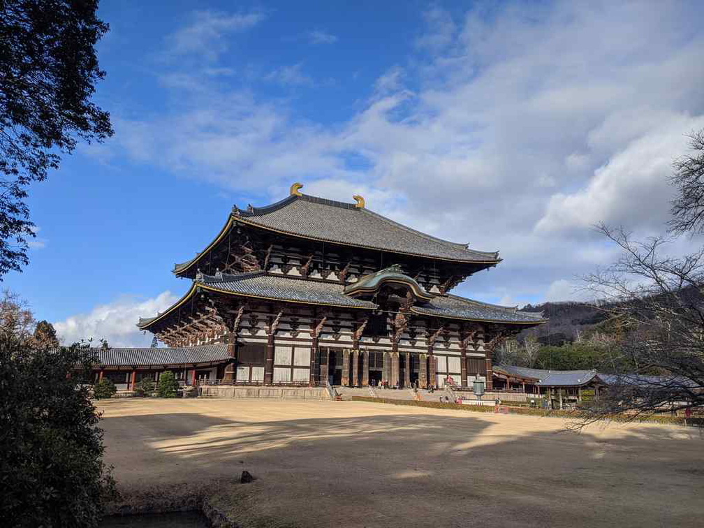 nara-deer-japan-011