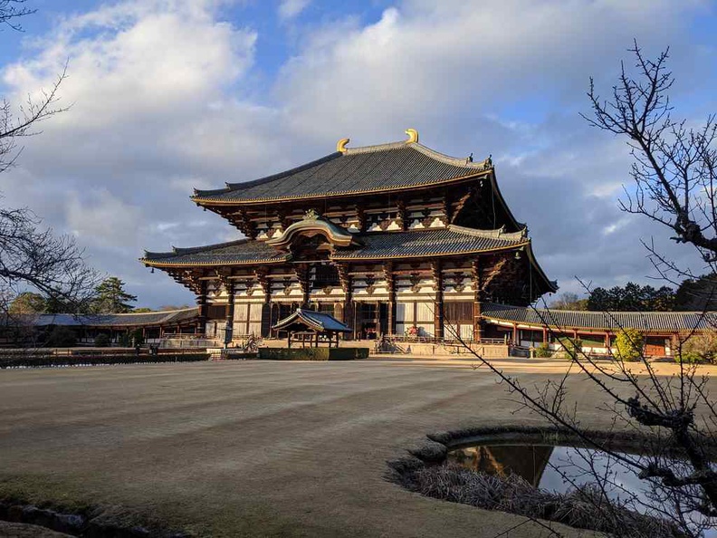 nara-deer-japan-018