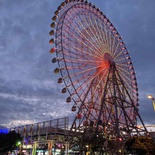 osaka-aquarium-12