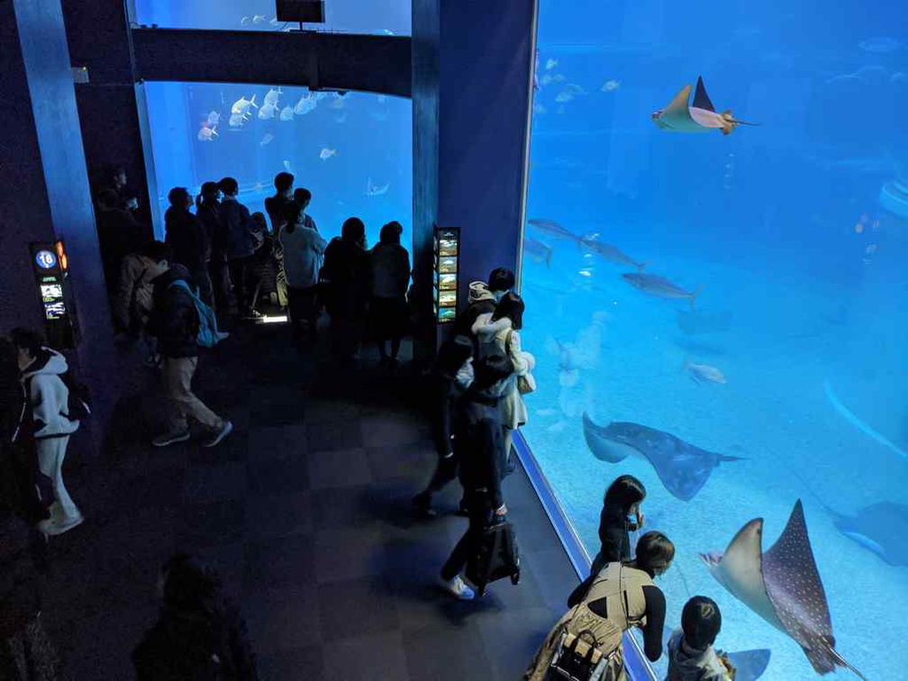 osaka-aquarium-04