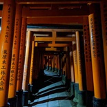 kyoto-fushimi-inari-japan-33