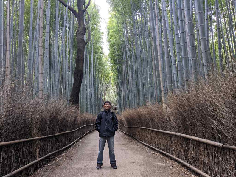 kyoto-arashiyama-bamboo-forest-japan-53.jpg