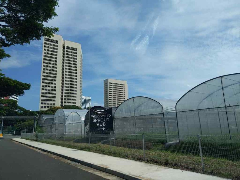 city-sprout-hub greenhouse