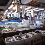 tokyo-tsukiji-market 15