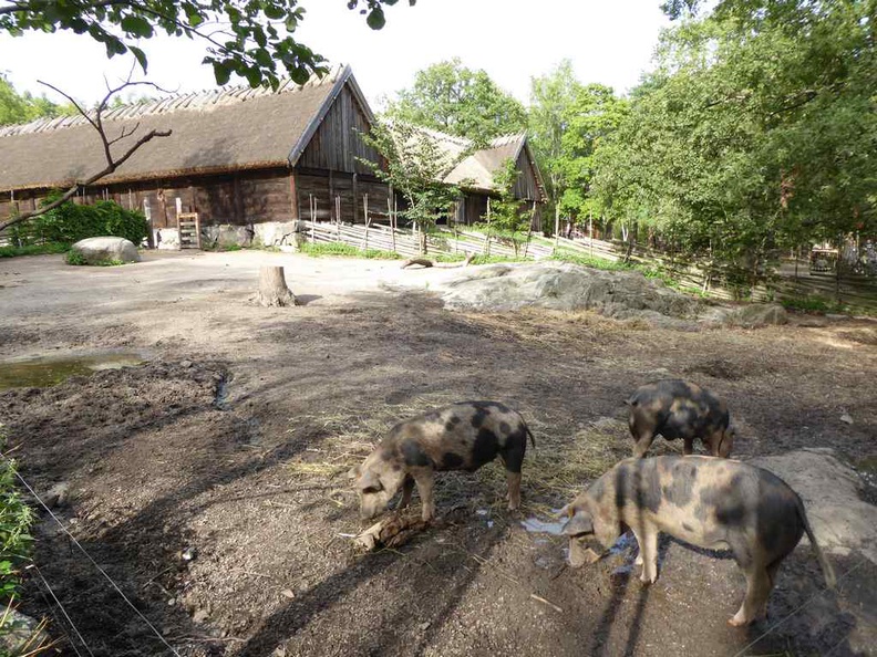 stockholm-skansen-017