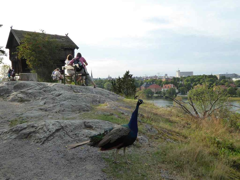 stockholm-skansen-026