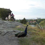 stockholm-skansen-026