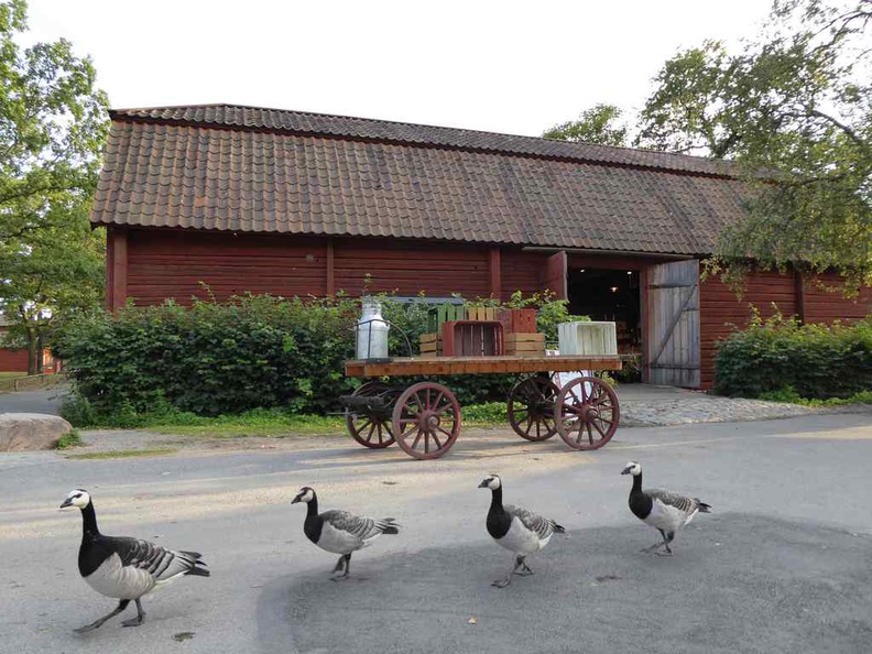 stockholm-skansen-036