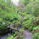 scotland-dunvegan-castle-005